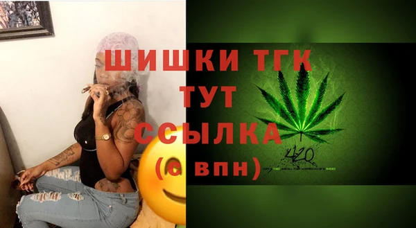 шишки Вяземский